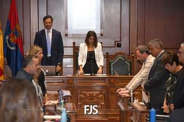  La lucha contra la lacra machista se sube al taxi en Telde/Francisco Javier Santana.